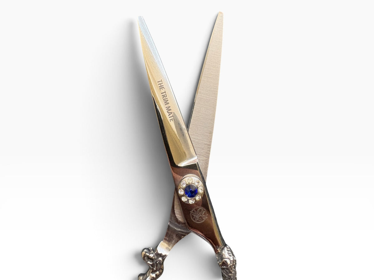 GINSEI Professional Hair Cutting Scissors