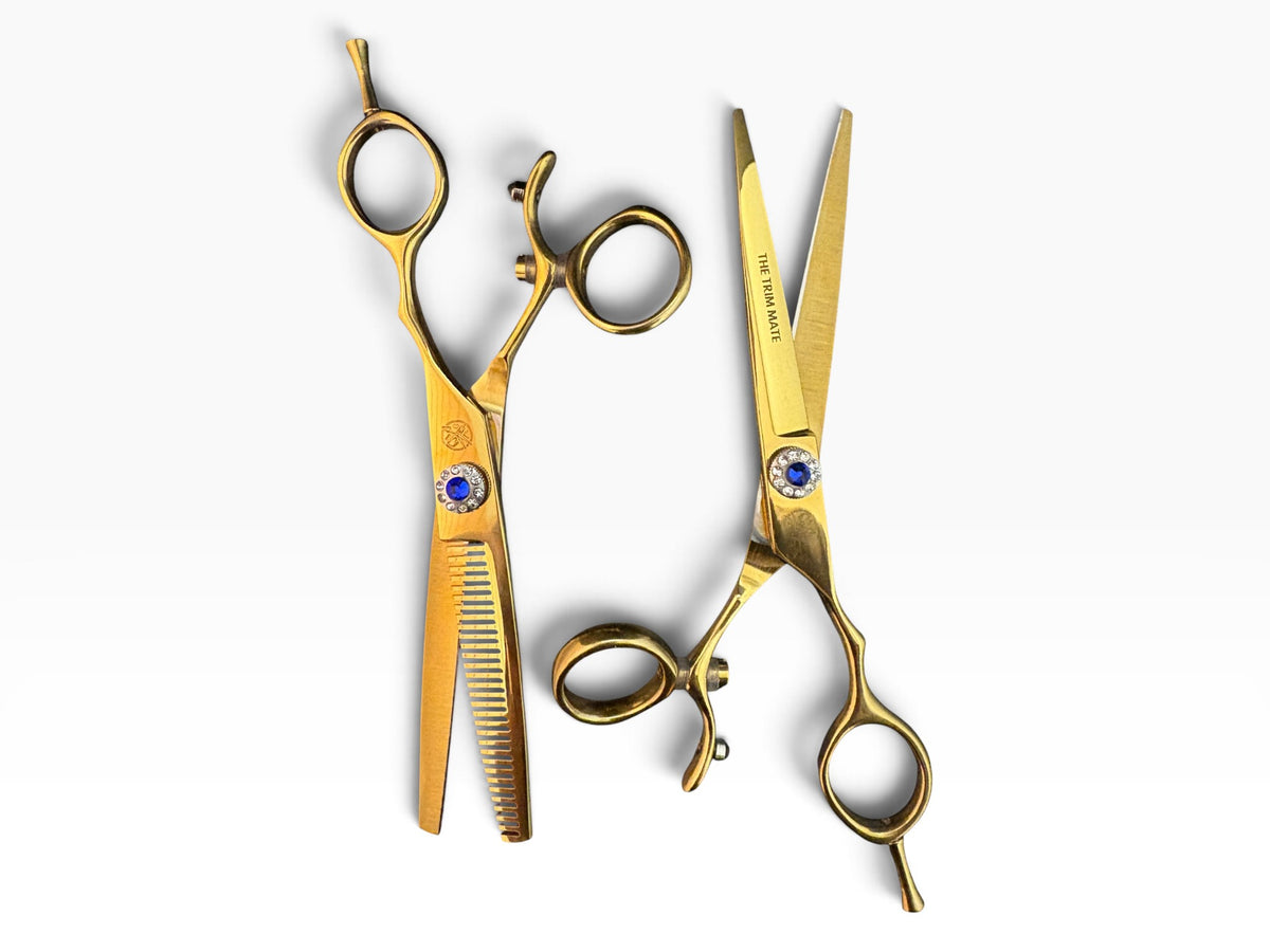 KIN NAGI – Premium Gold Swivel Hairdressing Scissors Set