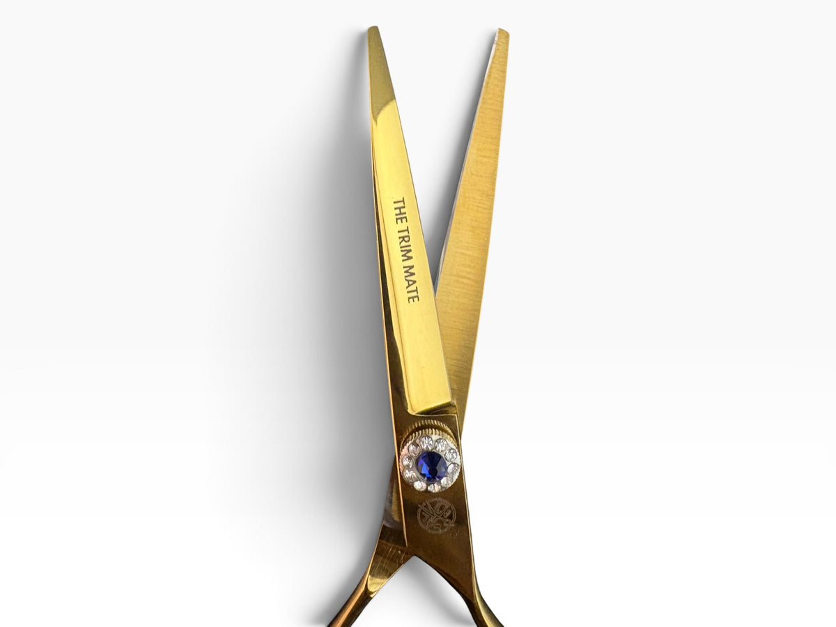 KIN NAGI – Premium Gold Swivel Hairdressing Scissors Set